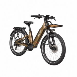 XP e-bike — proporzioni EvolStore