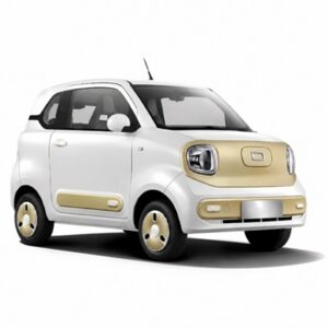 Microcar — proporzioni EvolStore